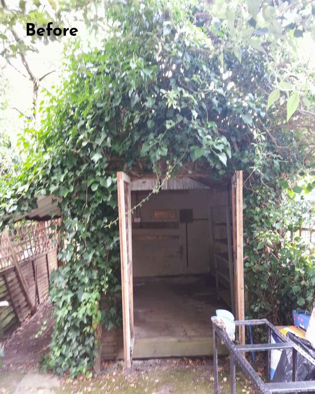 Old shed covered in ivy