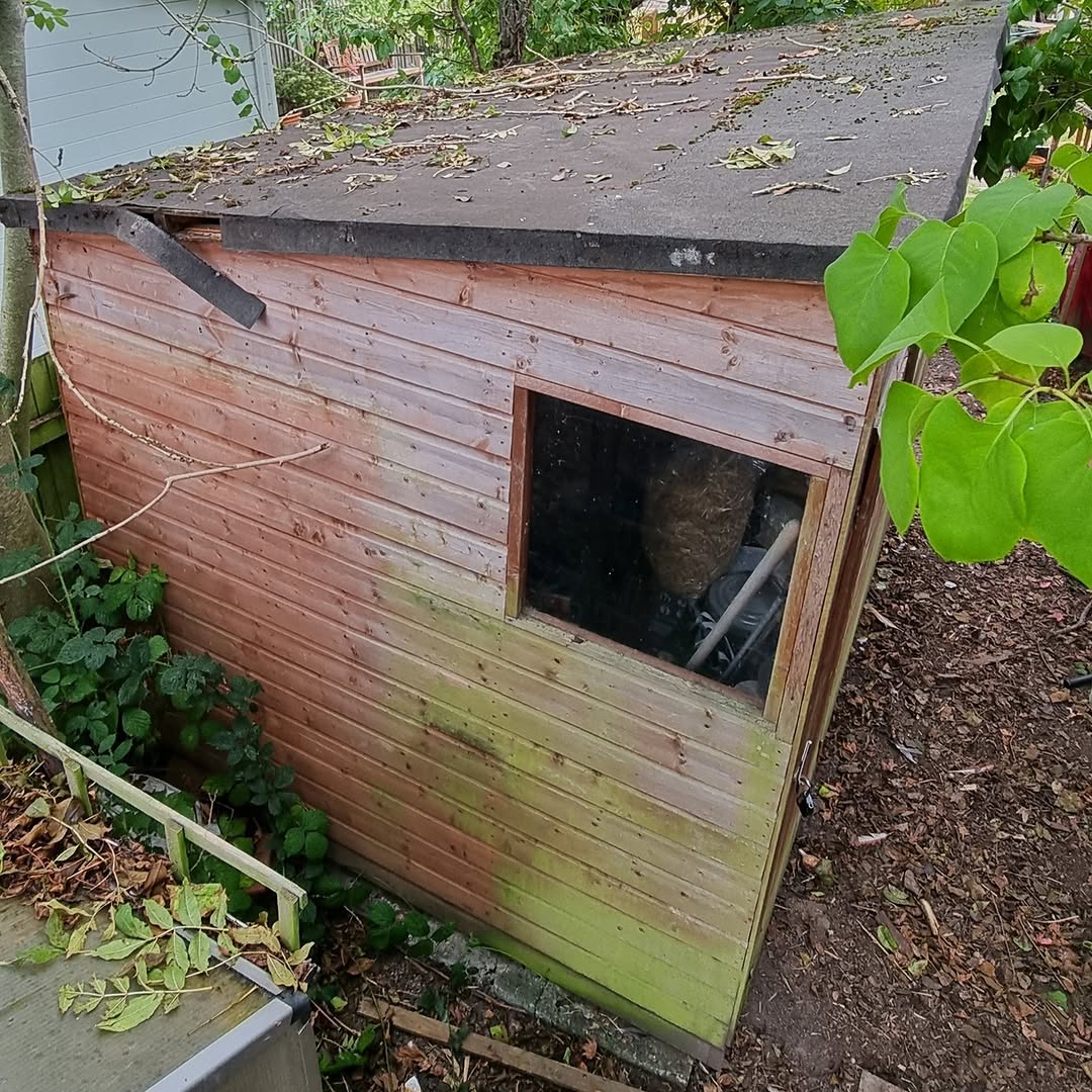 Leaking shed roof with old, worn roofing felt showing signs of failure